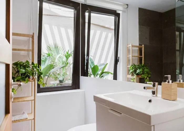 11 Homes San Miguel de Abona